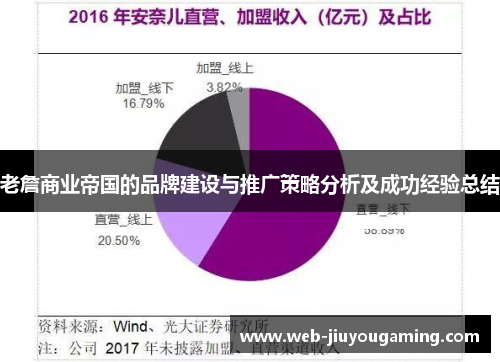 老詹商业帝国的品牌建设与推广策略分析及成功经验总结