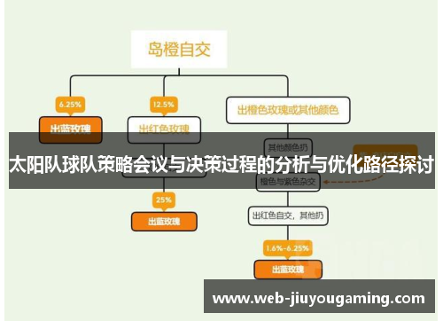 太阳队球队策略会议与决策过程的分析与优化路径探讨