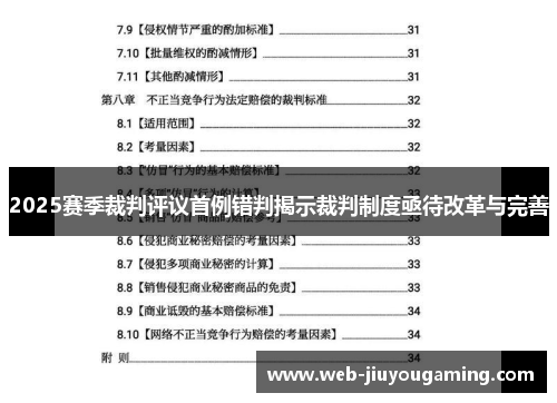 2025赛季裁判评议首例错判揭示裁判制度亟待改革与完善