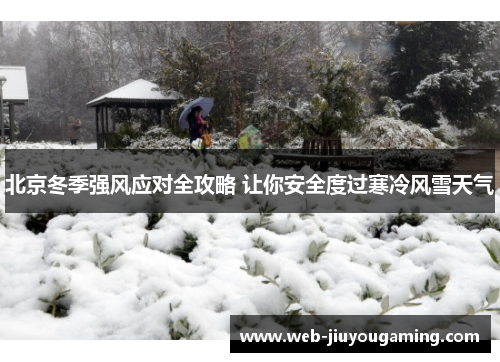 北京冬季强风应对全攻略 让你安全度过寒冷风雪天气