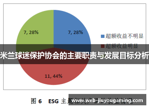 米兰球迷保护协会的主要职责与发展目标分析