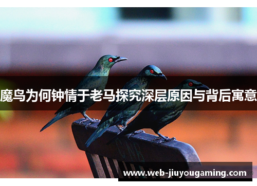 魔鸟为何钟情于老马探究深层原因与背后寓意