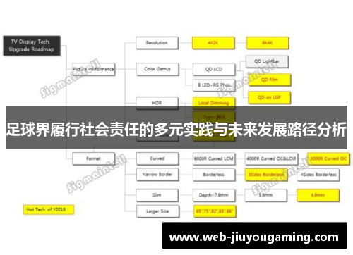 足球界履行社会责任的多元实践与未来发展路径分析 足球界履行社会责任的多元实践与未来发展路径分析